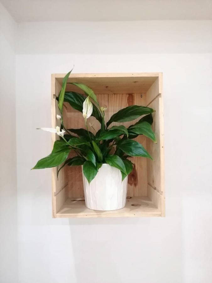 Apartamento Luna De Noviembre 말라가 외부 사진